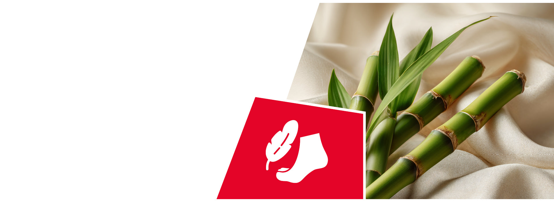 Bambusstängel mit grünen Blättern auf beigem Stoff neben rotem Logo mit weißem Blatt-Symbol