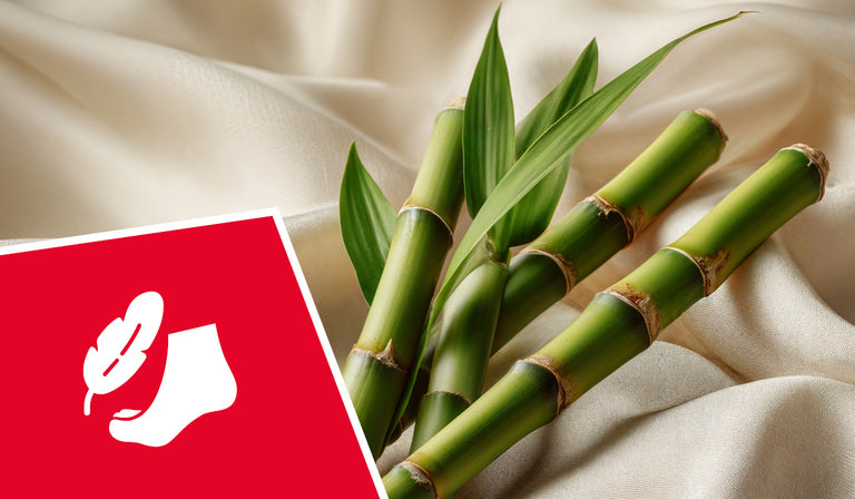 Bambusstängel mit grünen Blättern auf beigem Stoff neben rotem Logo mit weißem Blatt-Symbol