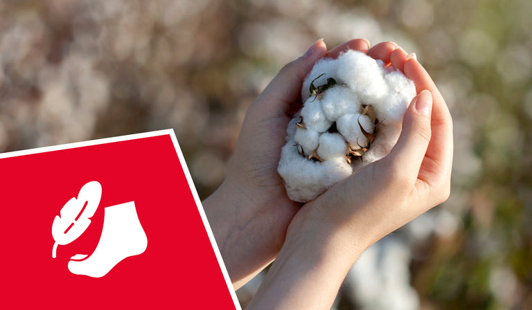 Hände halten weiße Baumwollblüte neben rotem Logo mit weißem Blatt-Symbol