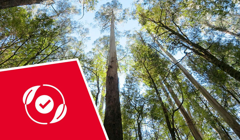 Rotes Schild mit weißem Logo in einem grünen Wald, Blick nach oben zu hohen Baumkronen und blauem Himmel