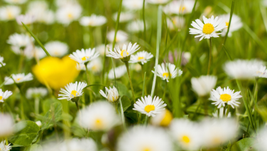 Frühlingsfrische: So bringst du den Frühling in deinen Schuhschrank
